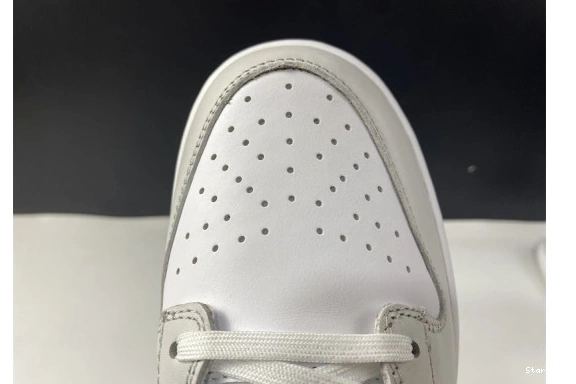 DD1503-103 Dust" Dunk Nike Low "Photon 0113